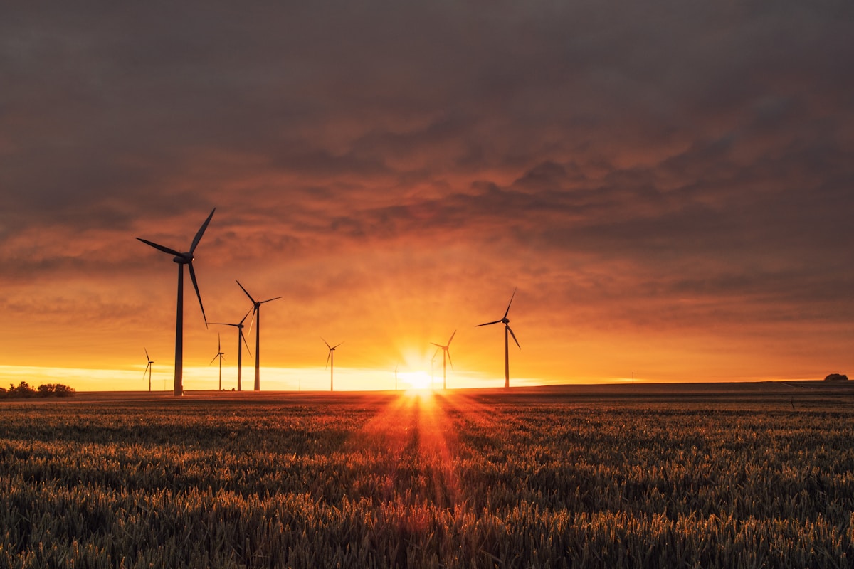 Wind turbines in West Texas